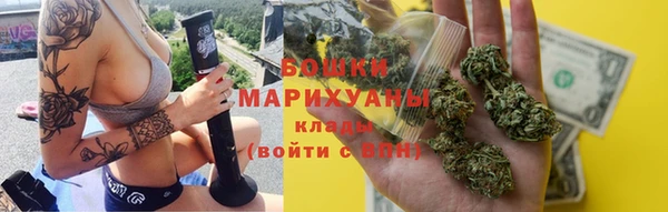 mdpv Бородино