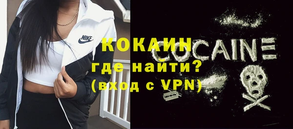 mdpv Бородино