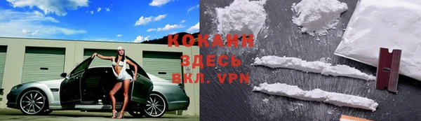 бошки Бронницы