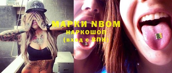 бошки Бронницы