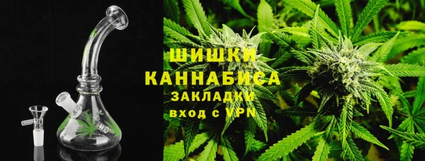 бошки Бронницы