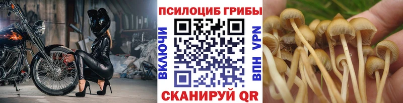 Галлюциногенные грибы Magic Shrooms  Мончегорск 